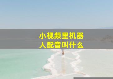 小视频里机器人配音叫什么