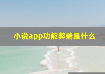 小说app功能弊端是什么