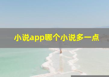 小说app哪个小说多一点