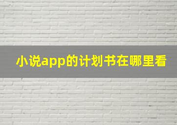 小说app的计划书在哪里看