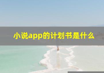 小说app的计划书是什么