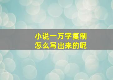 小说一万字复制怎么写出来的呢