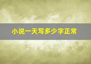 小说一天写多少字正常