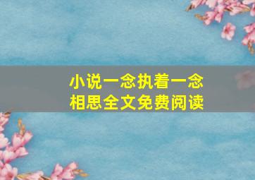 小说一念执着一念相思全文免费阅读