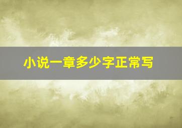 小说一章多少字正常写