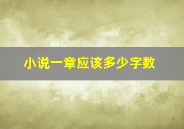 小说一章应该多少字数