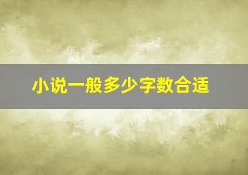 小说一般多少字数合适