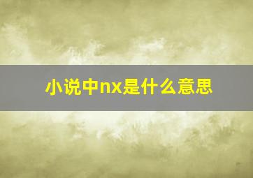 小说中nx是什么意思