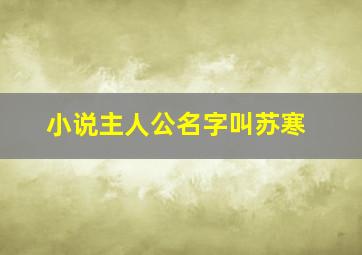 小说主人公名字叫苏寒