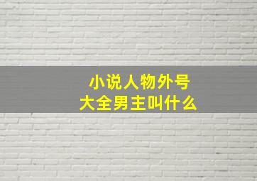 小说人物外号大全男主叫什么