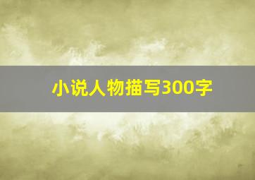 小说人物描写300字