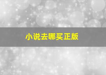 小说去哪买正版