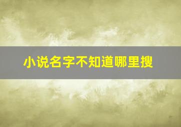 小说名字不知道哪里搜