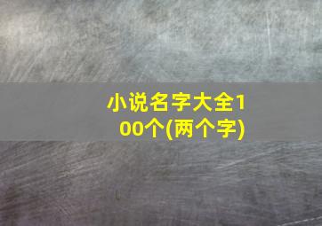 小说名字大全100个(两个字)