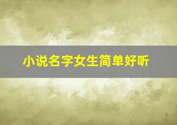 小说名字女生简单好听