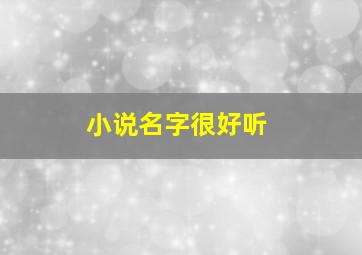 小说名字很好听