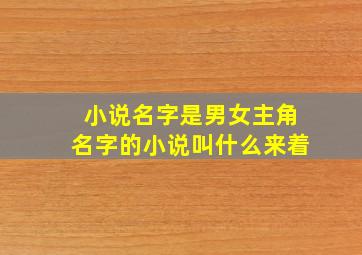 小说名字是男女主角名字的小说叫什么来着