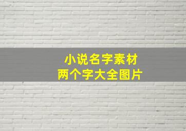 小说名字素材两个字大全图片