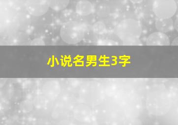 小说名男生3字