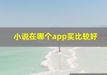 小说在哪个app买比较好