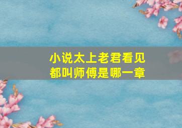 小说太上老君看见都叫师傅是哪一章