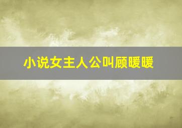 小说女主人公叫顾暖暖