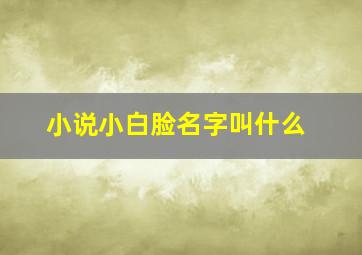 小说小白脸名字叫什么