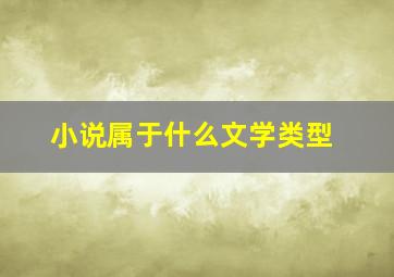 小说属于什么文学类型