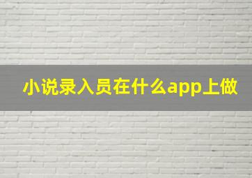 小说录入员在什么app上做