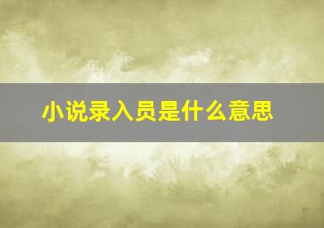 小说录入员是什么意思