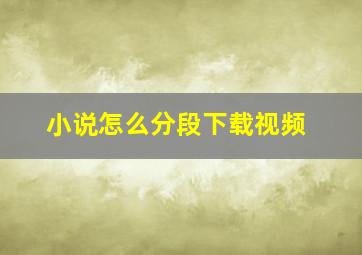 小说怎么分段下载视频