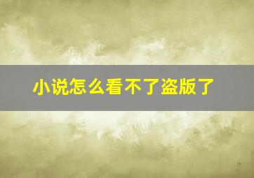 小说怎么看不了盗版了