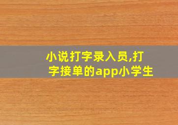 小说打字录入员,打字接单的app小学生