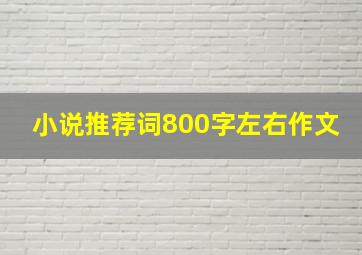 小说推荐词800字左右作文