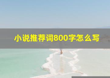 小说推荐词800字怎么写