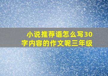 小说推荐语怎么写30字内容的作文呢三年级