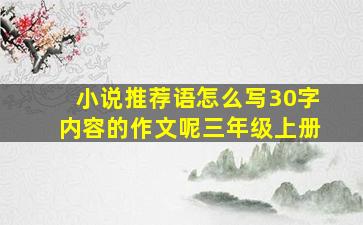 小说推荐语怎么写30字内容的作文呢三年级上册