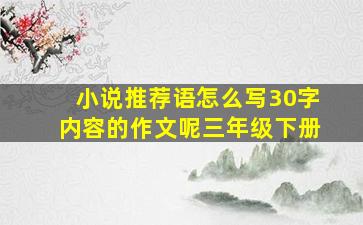 小说推荐语怎么写30字内容的作文呢三年级下册