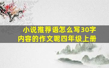 小说推荐语怎么写30字内容的作文呢四年级上册