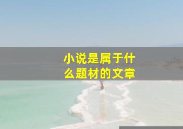 小说是属于什么题材的文章