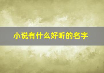 小说有什么好听的名字