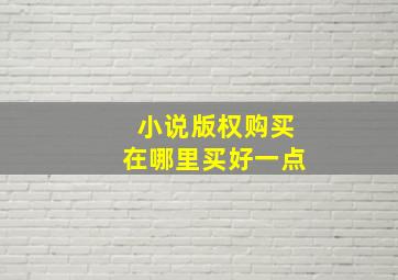 小说版权购买在哪里买好一点