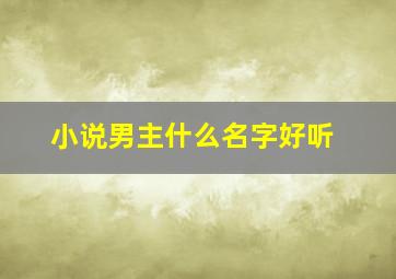 小说男主什么名字好听