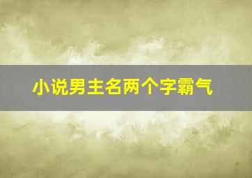 小说男主名两个字霸气