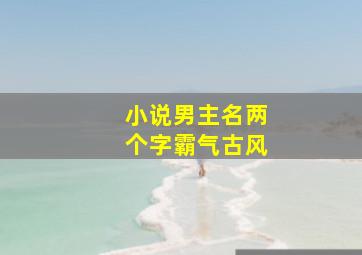 小说男主名两个字霸气古风