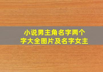 小说男主角名字两个字大全图片及名字女主