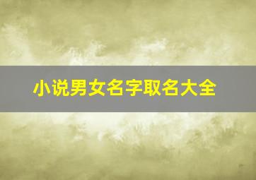 小说男女名字取名大全