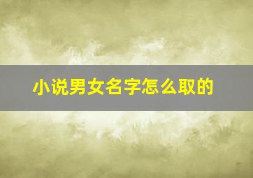 小说男女名字怎么取的