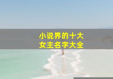 小说界的十大女主名字大全