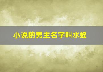 小说的男主名字叫水蛭